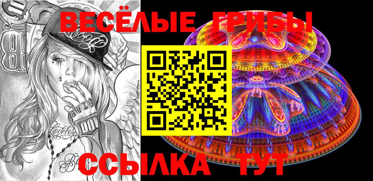 Гусь-Хрустальный  Псилоцибиновые грибы прущие грибы  купить  цена  Галлюциногенные грибы Psilocybe  Вход с VPN 